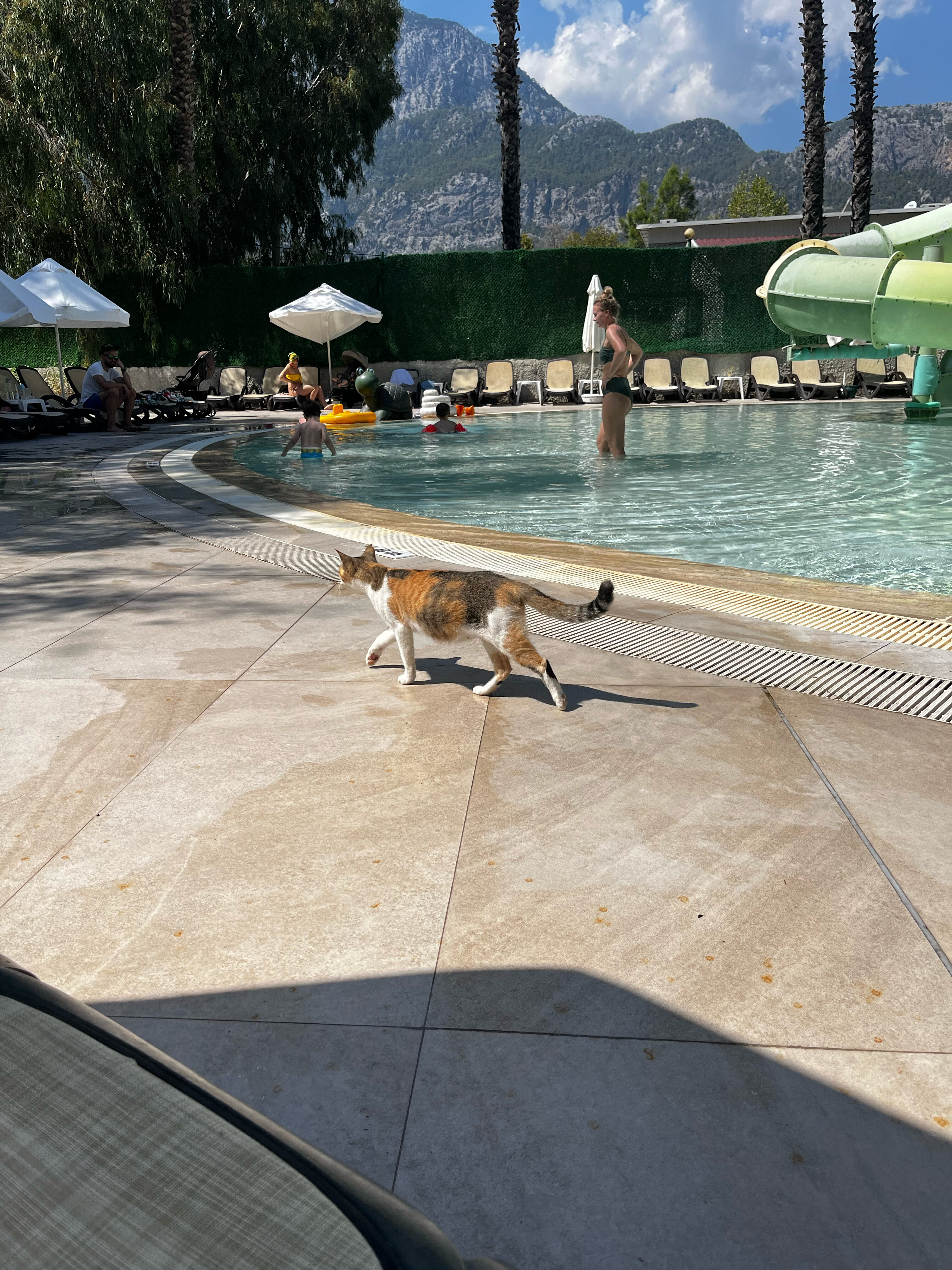 Фото Greenwood Kemer Resort