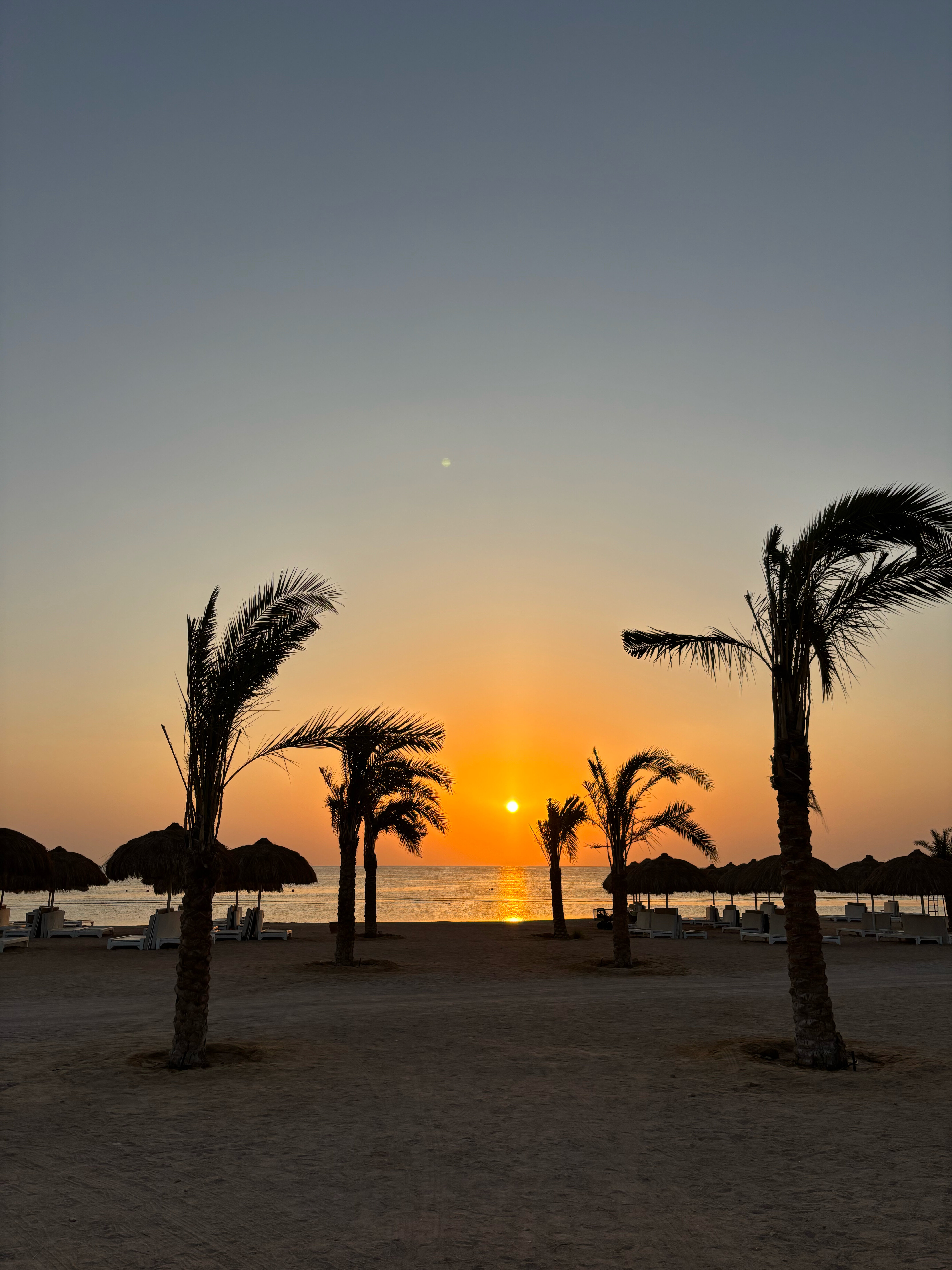 Фото Reef Oasis Suakin Marsa Alam Resort
