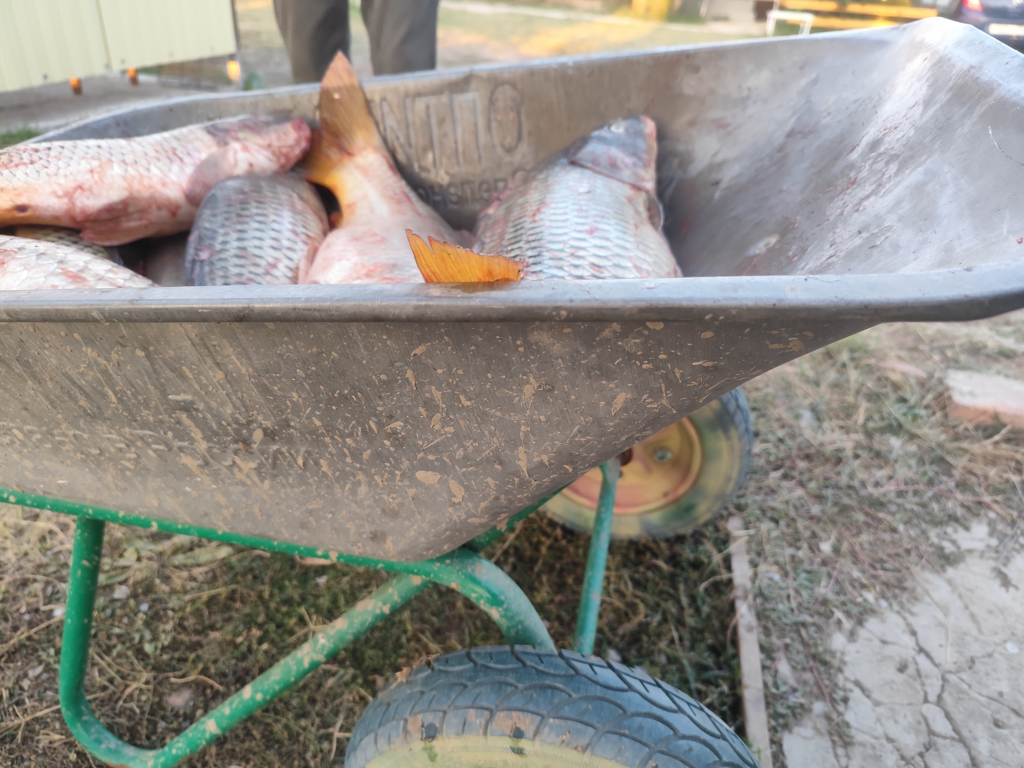 Фото У дяди Вади