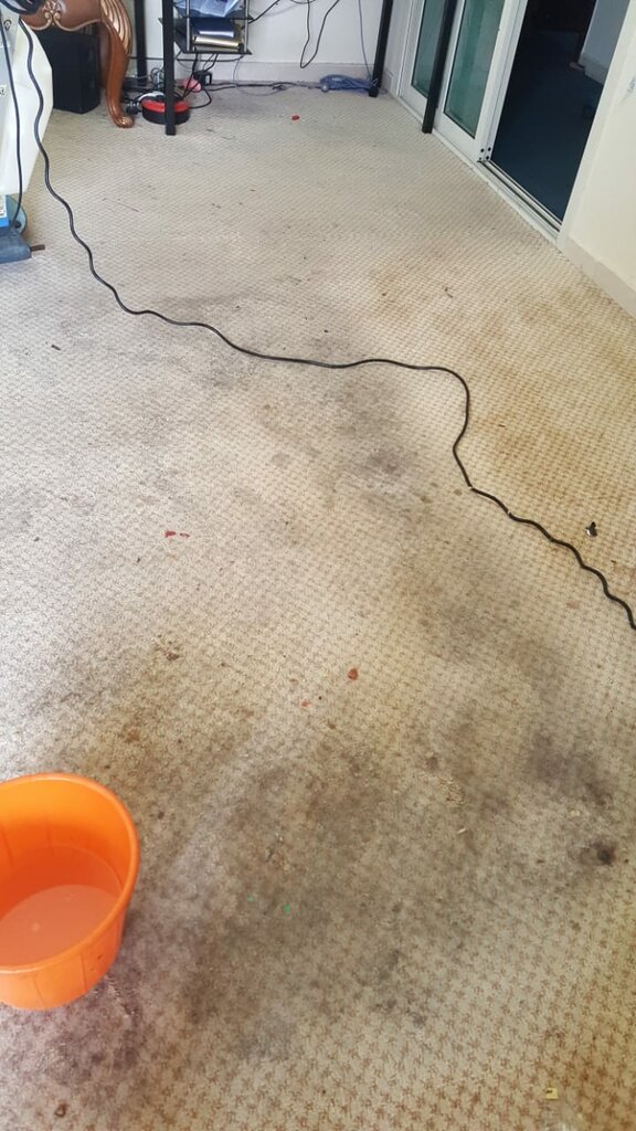 Cleaning services Sofa cleaning services Dubai, Dubai, photo