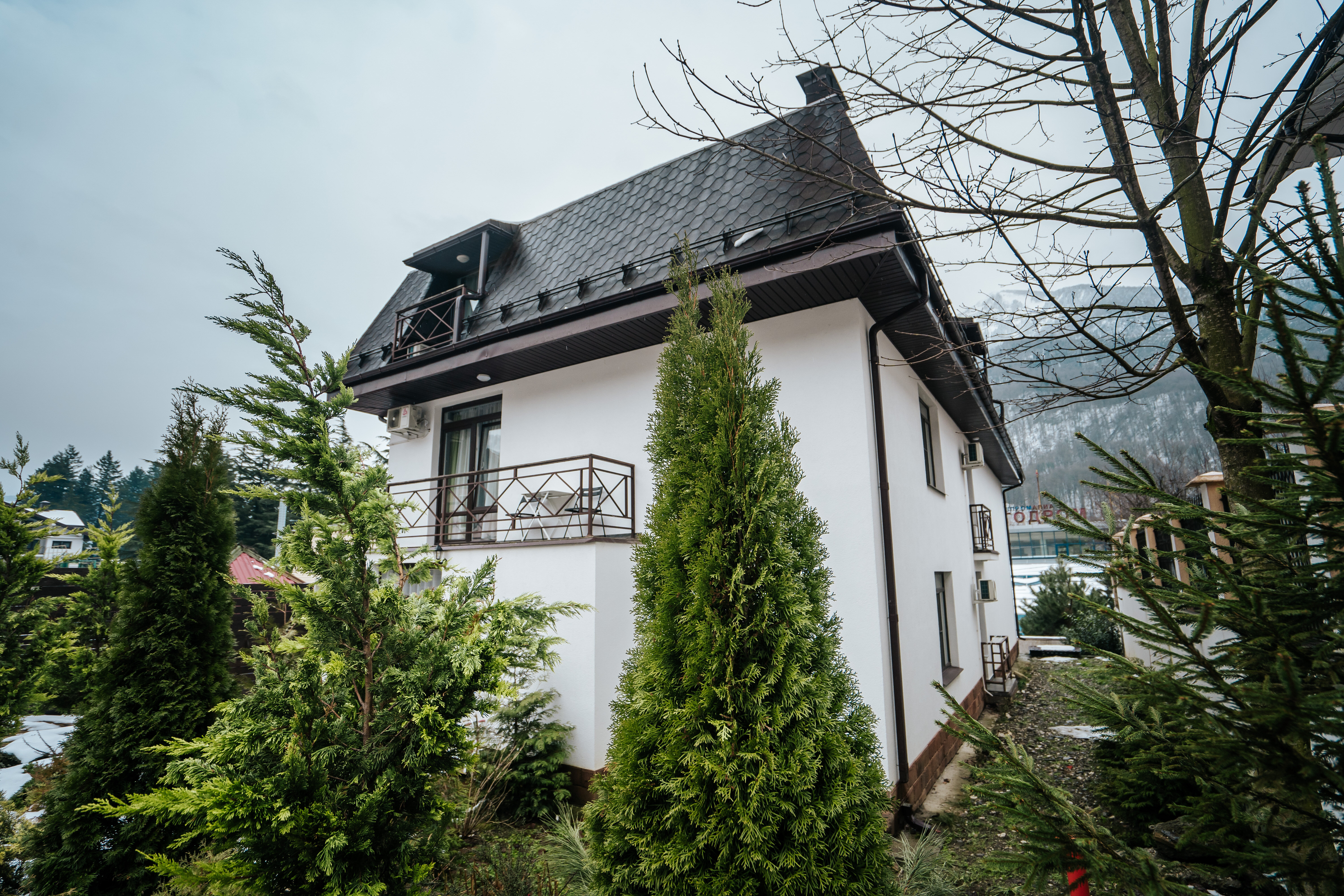 Фото Горизонт