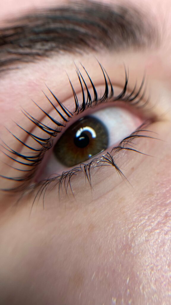 Eyebrow and eyelash salon Lash&Brows, Kaluga, photo