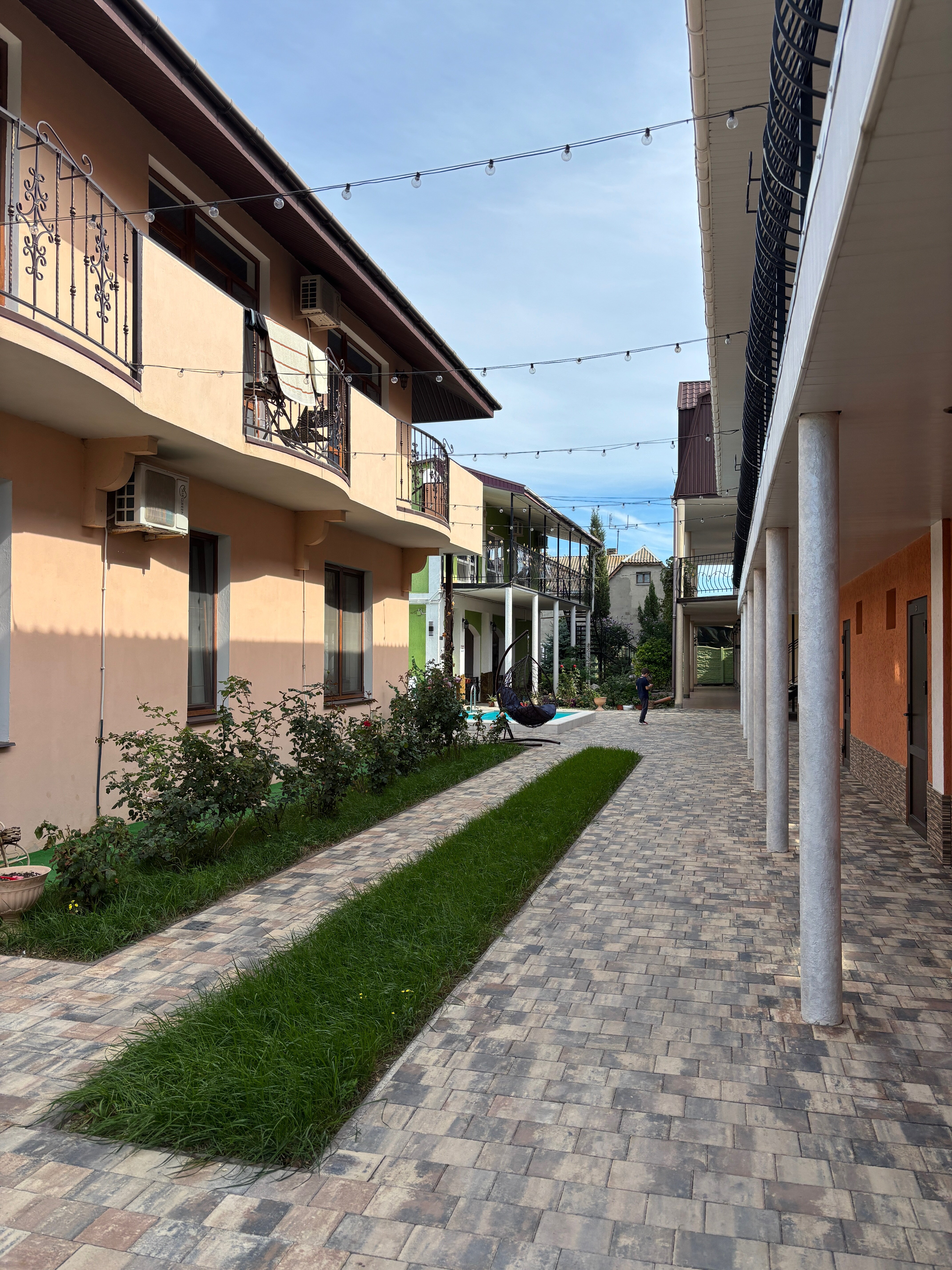 Фото Колибри