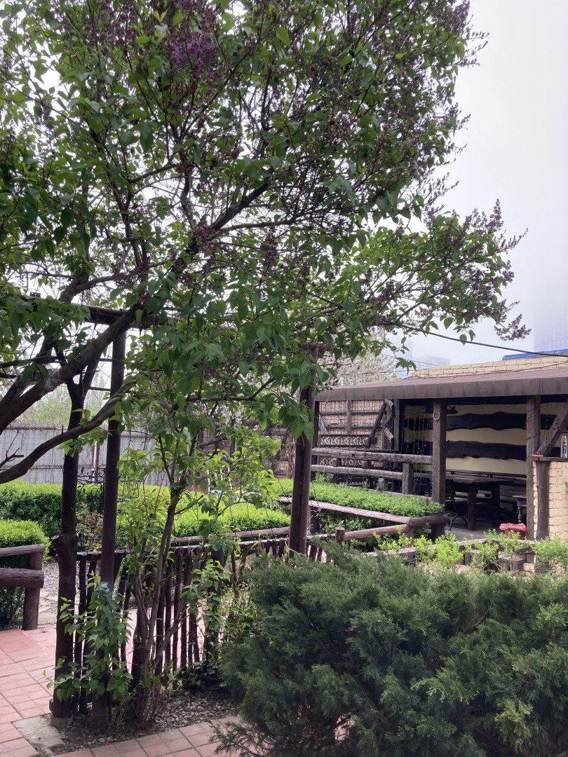 Фото Штурман