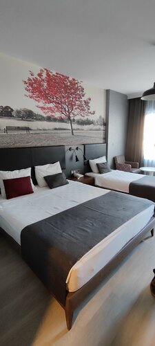 Внешний вид отеля Ramira City Hotel в Аланье, фото 4