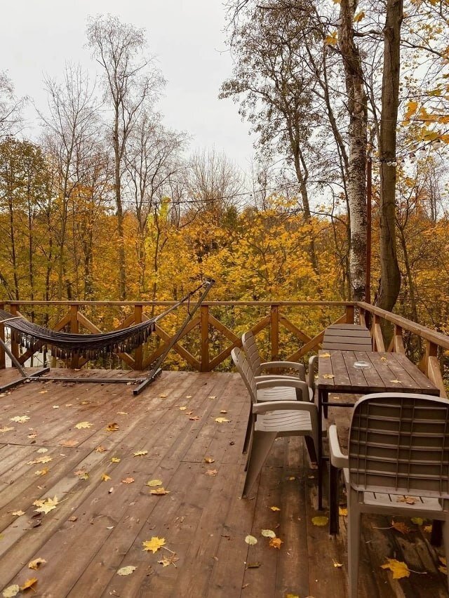 Фото Клевер