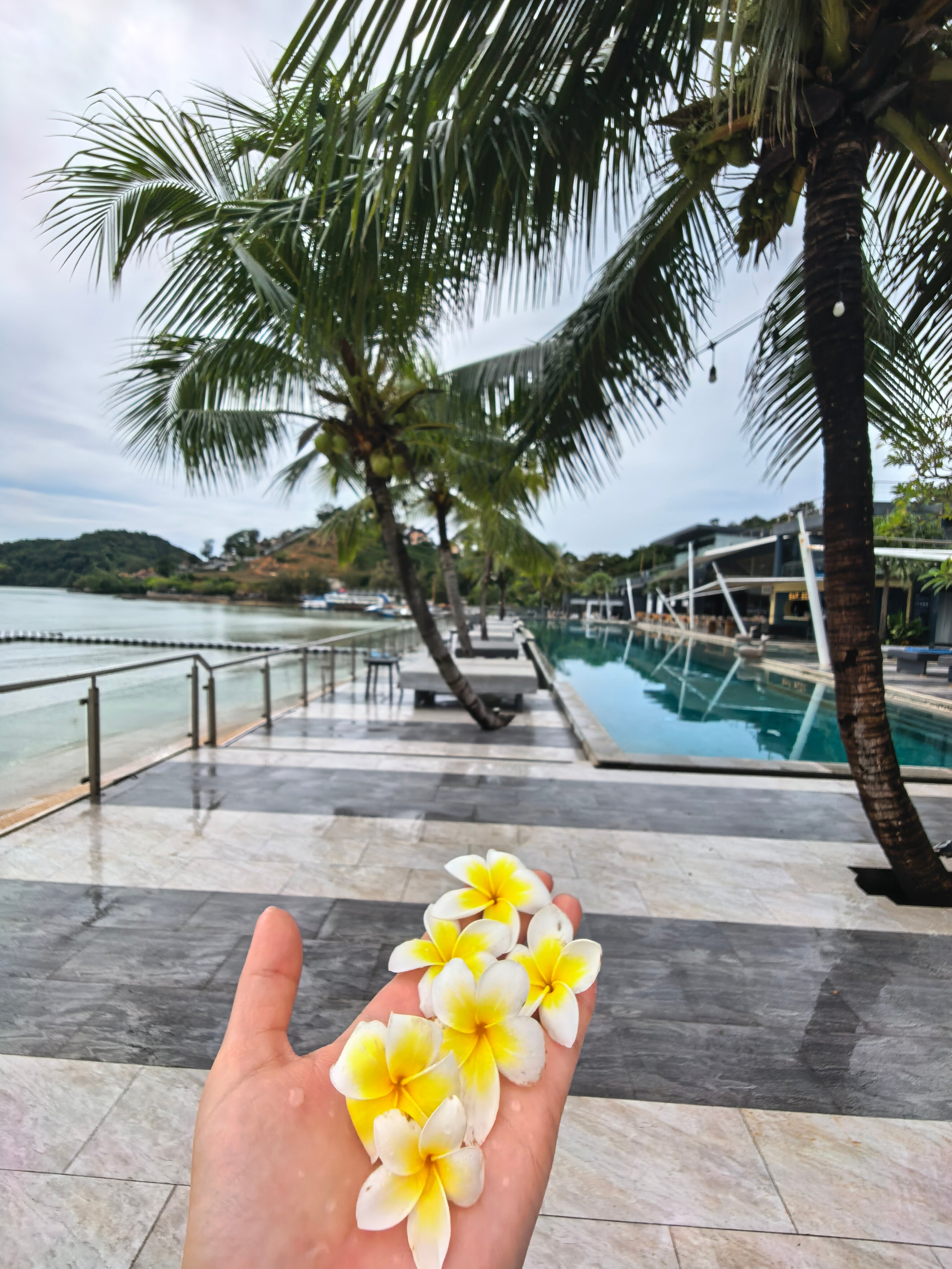 Фото Hotel Tide Phuket