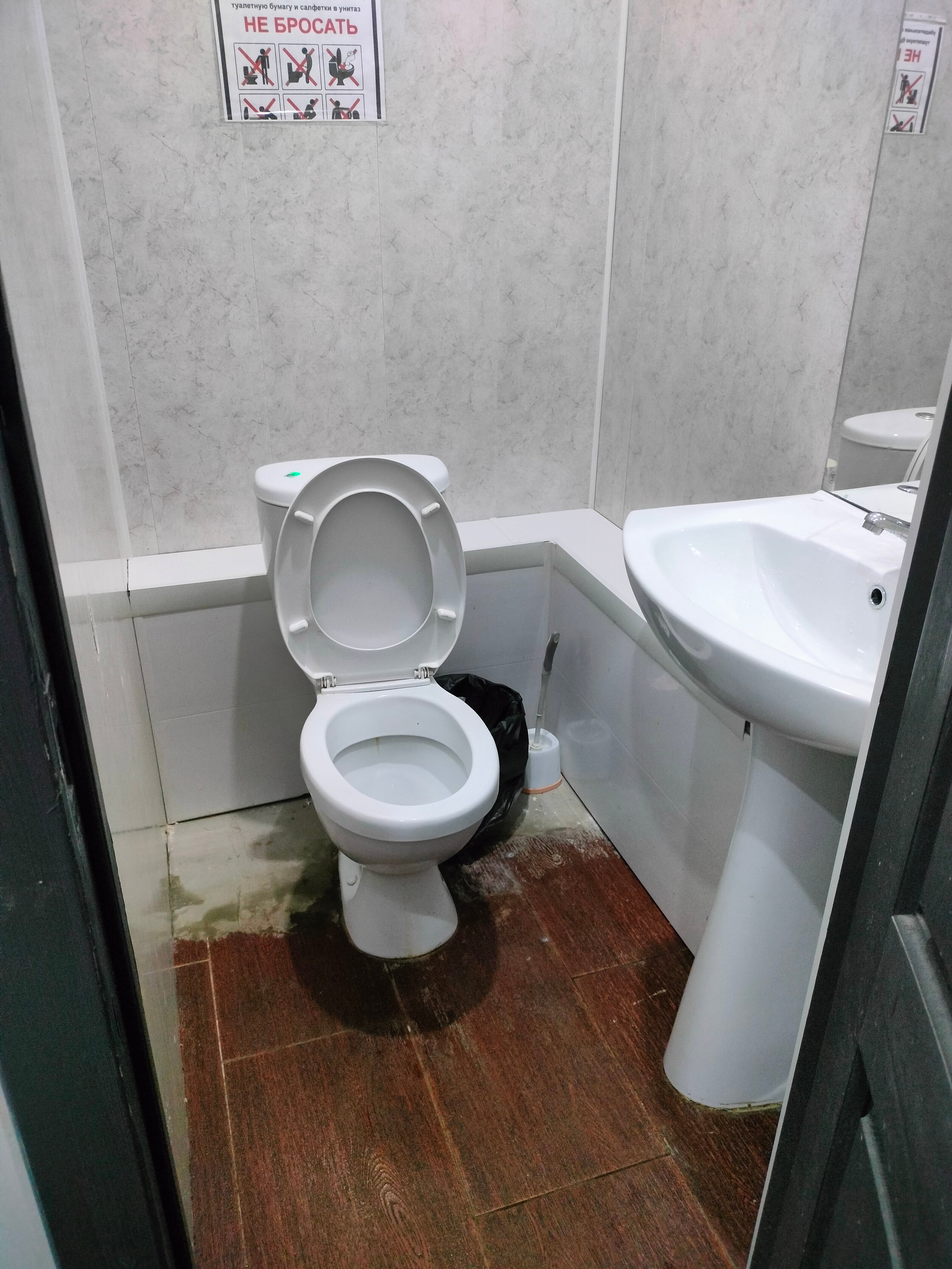 Фото Чемпион