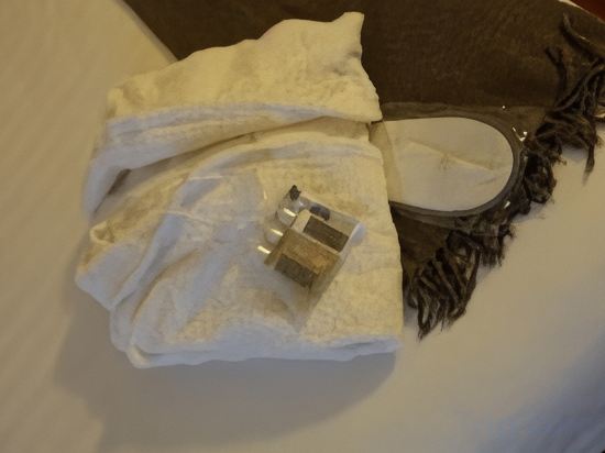 Фото Best Western Hotel Tre Torri