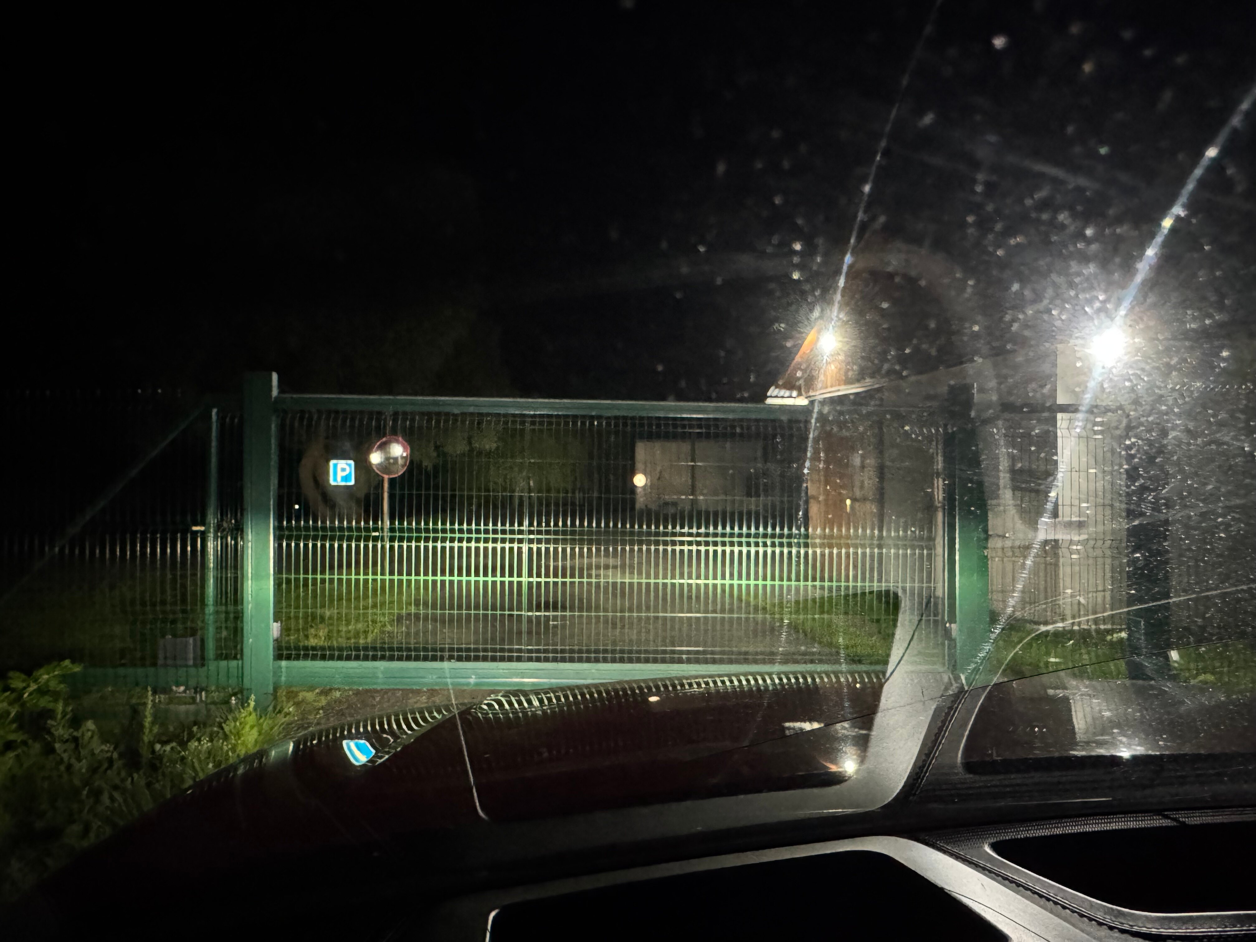 Фото Хвоя Бестужево