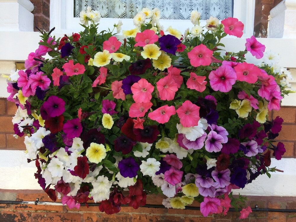 Фото Bowden Lodge Hotel