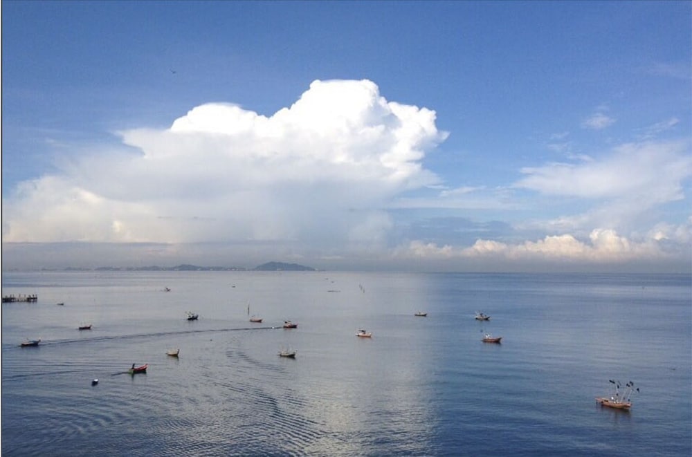 Фото Sea Sand Trees