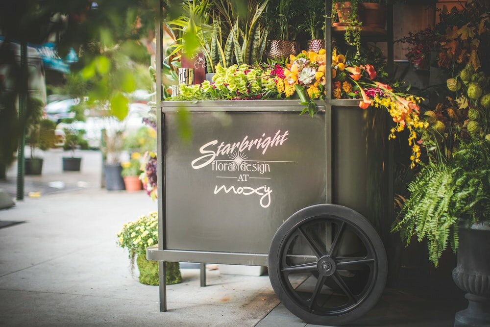 Фото Moxy Nyc Chelsea