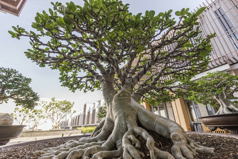 Фото Ace of Hua Hin Resort