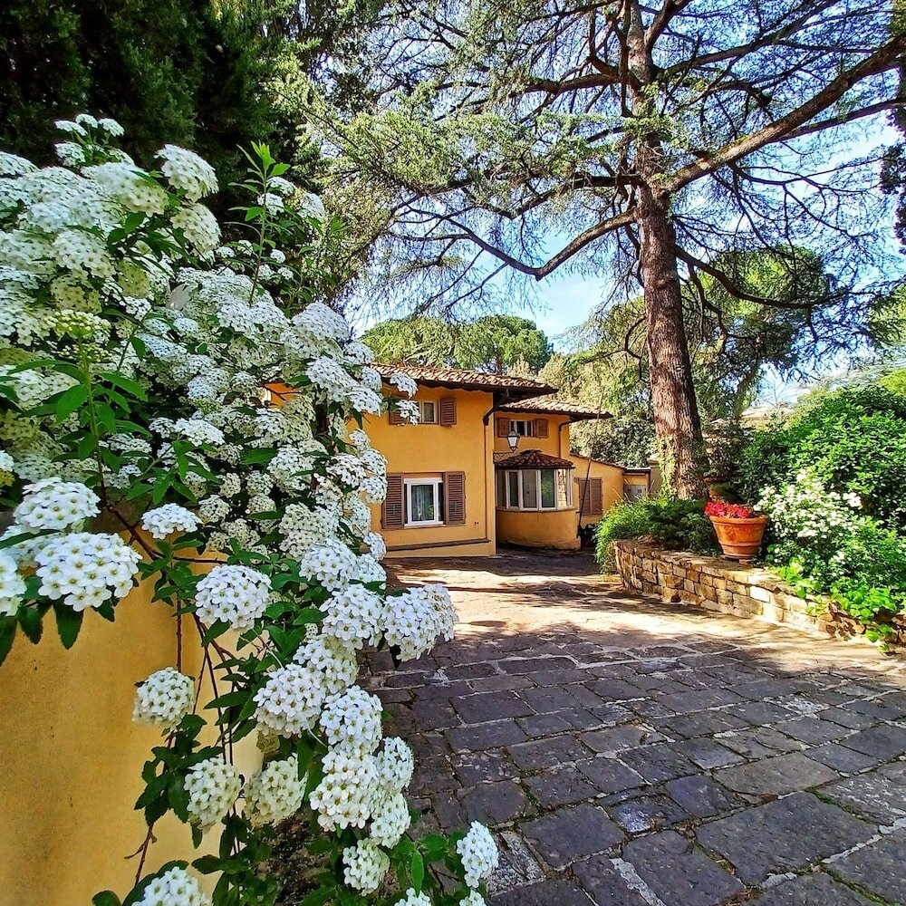 Фото Park Palace