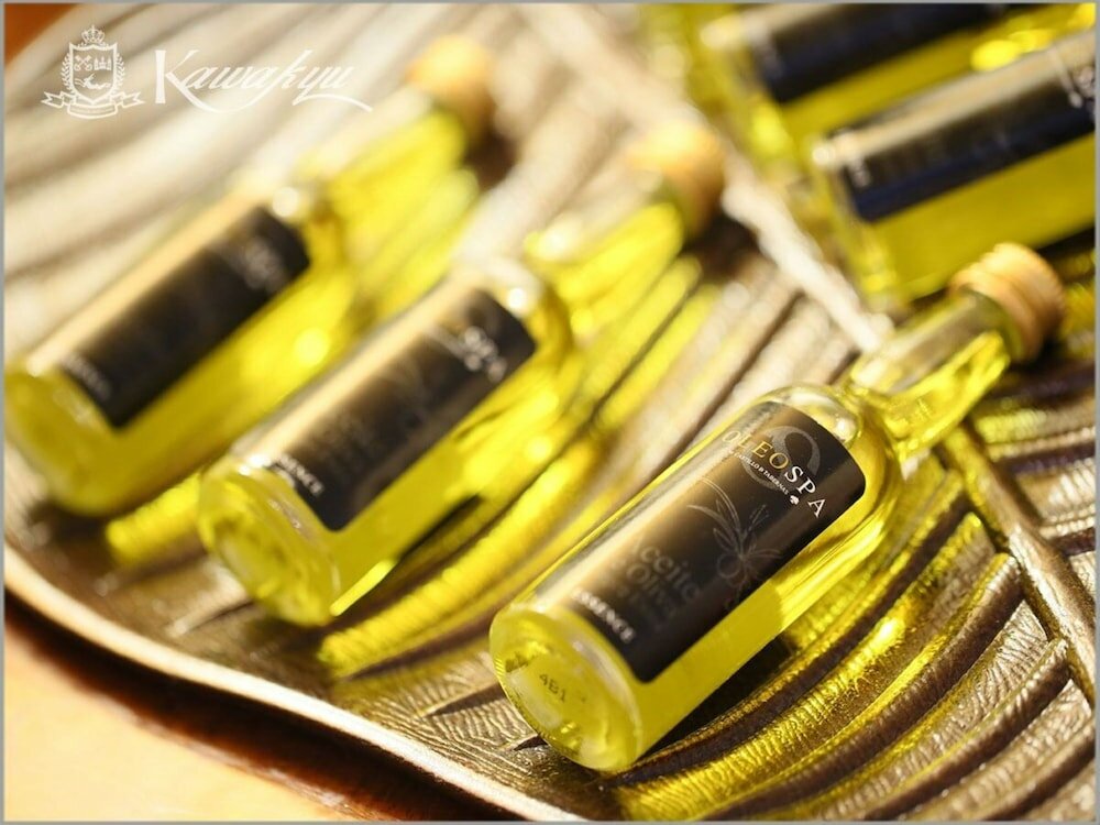 Фото Hotel Kawakyu