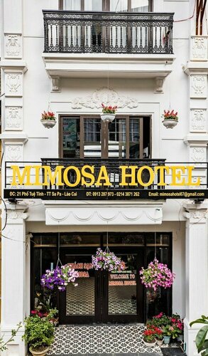 Гостиница Sapa Mimosa Hotel в Провинции Лаокай