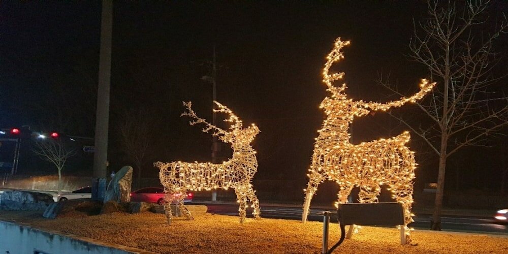 Фото Crown Hotel Changwon