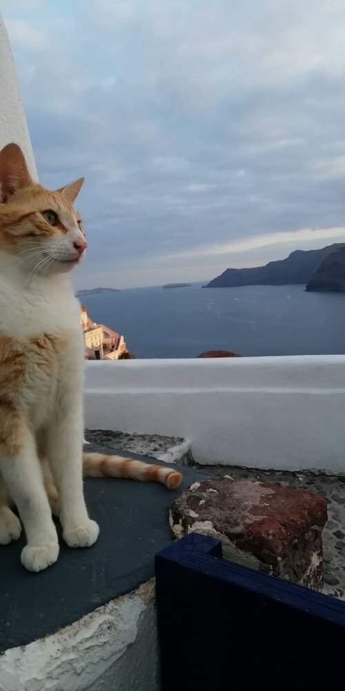 Фото Fotinos Houses