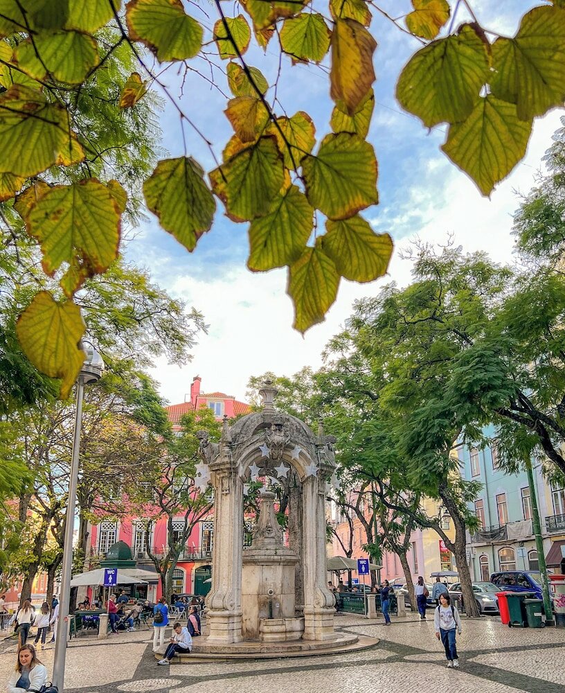 Фото Lisboa Carmo Hotel