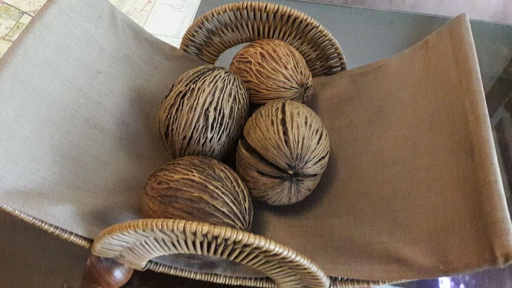 Фото Smile Society Boutique Hostel