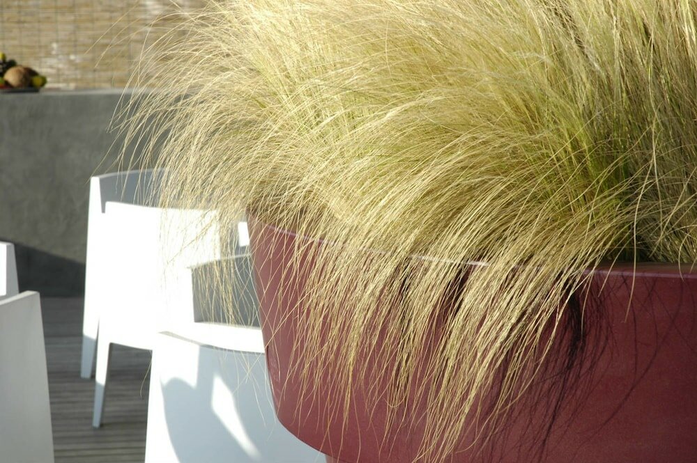 Фото Hotel San Francesco