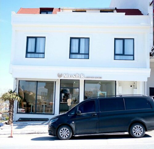 Гостиница Meshk Airport hotel в Арнавуткёе