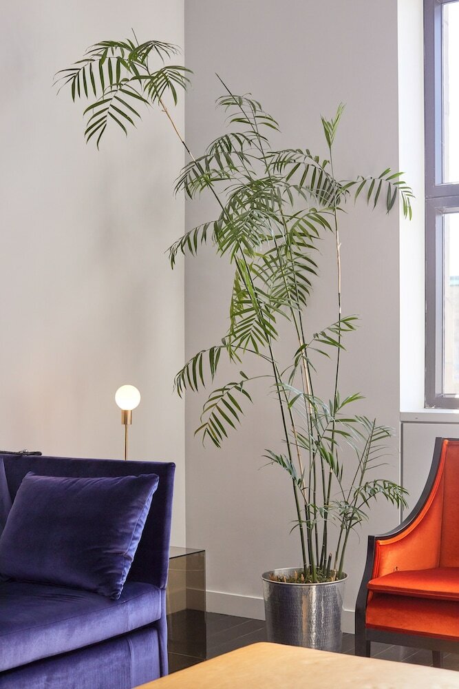 Фото Hotel St Paul