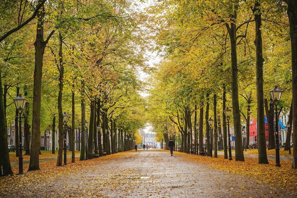 Фото Voco The Hague, an Ihg Hotel