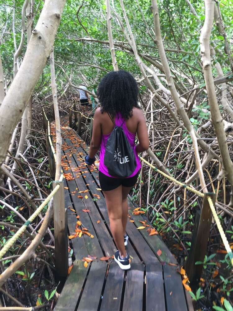 Фото South Coast Horizons