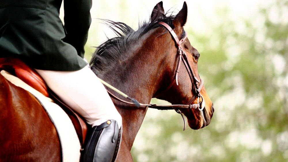 Фото Magnuson Hotel Fowlerville