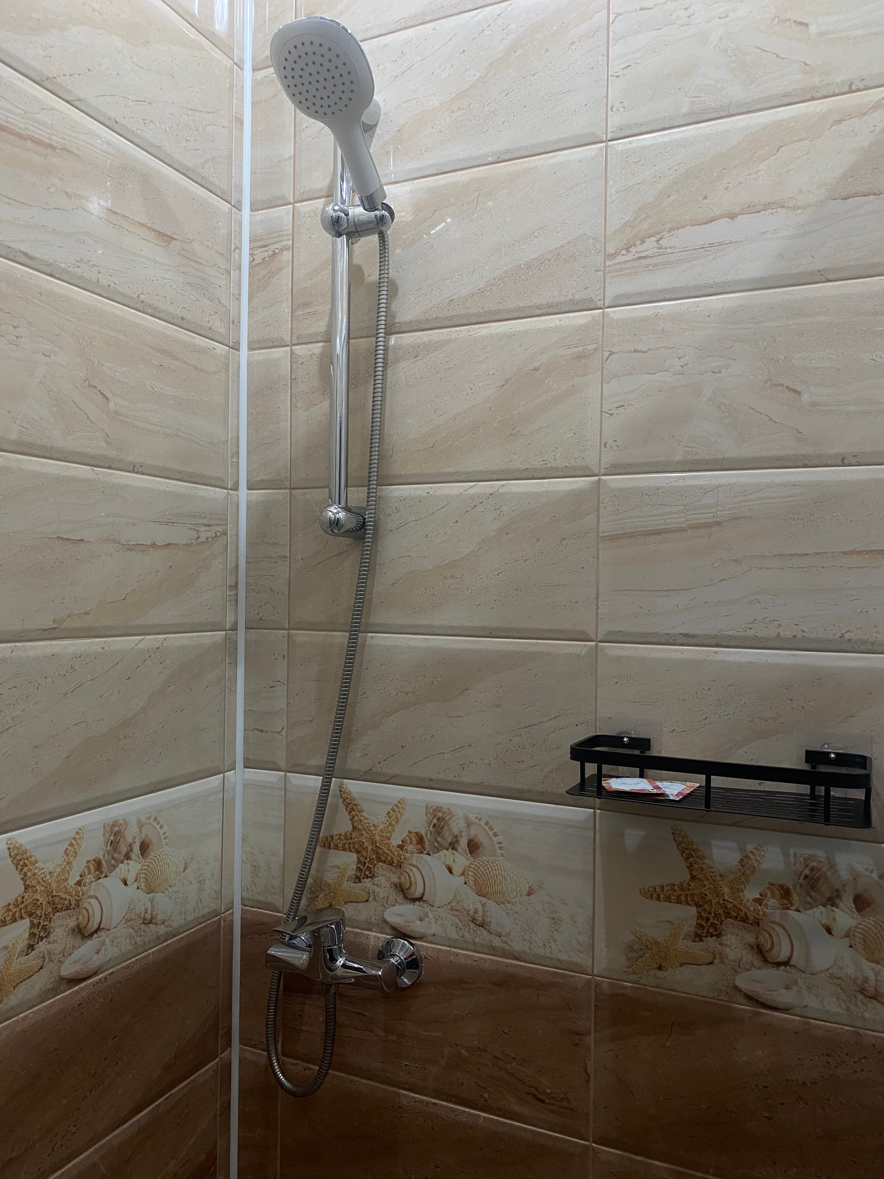 Фото Метелица