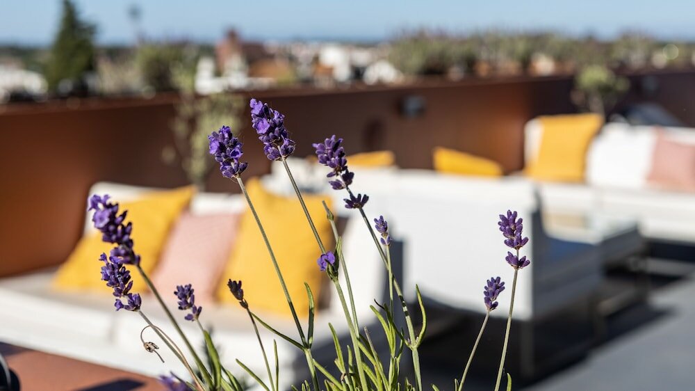 Фото Vitória Stone Hotel