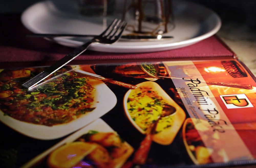 Фото Hotel Padmini Palace