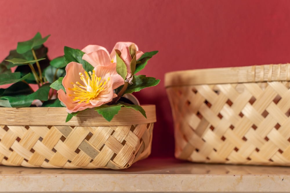 Фото Wine Apartments Florence Pinot