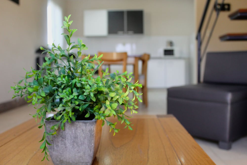 Фото Soltigua Apart Hotel Mendoza