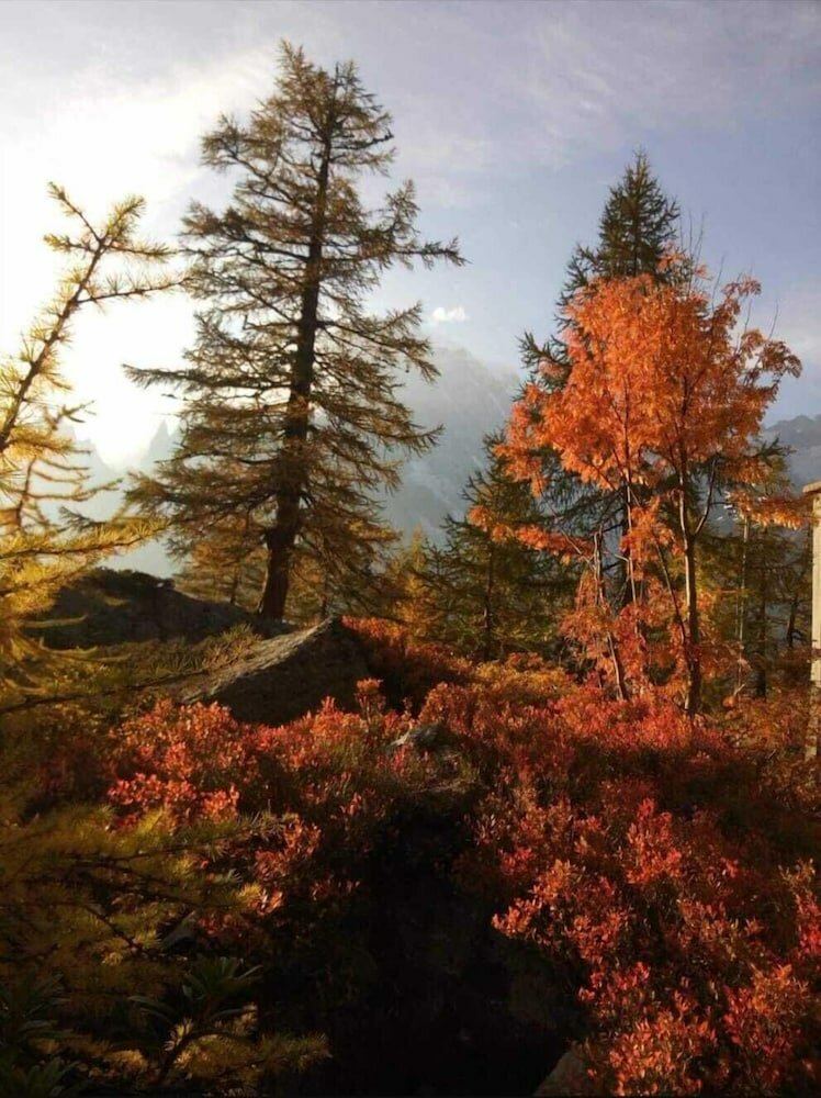 Фото Hotel Astoria