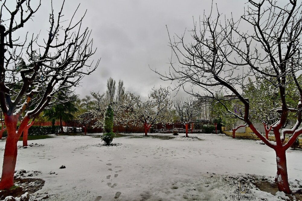 Фото Hotel The Grand Mamta