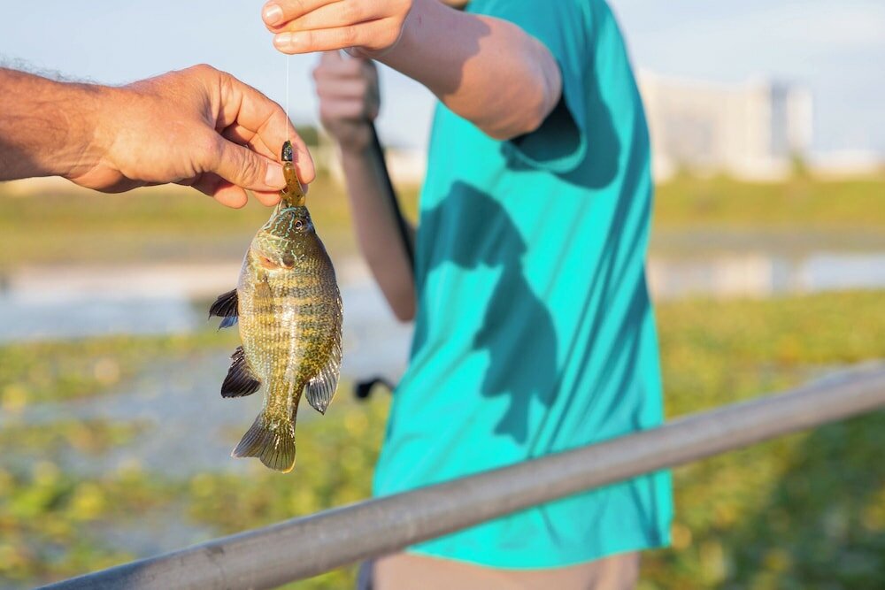 Фото SpringHill Suites by Marriott Austin Cedar Park