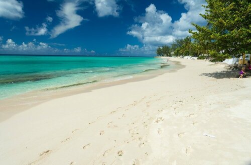 Гостиница Palm Garden Hotel в Бриджтауне