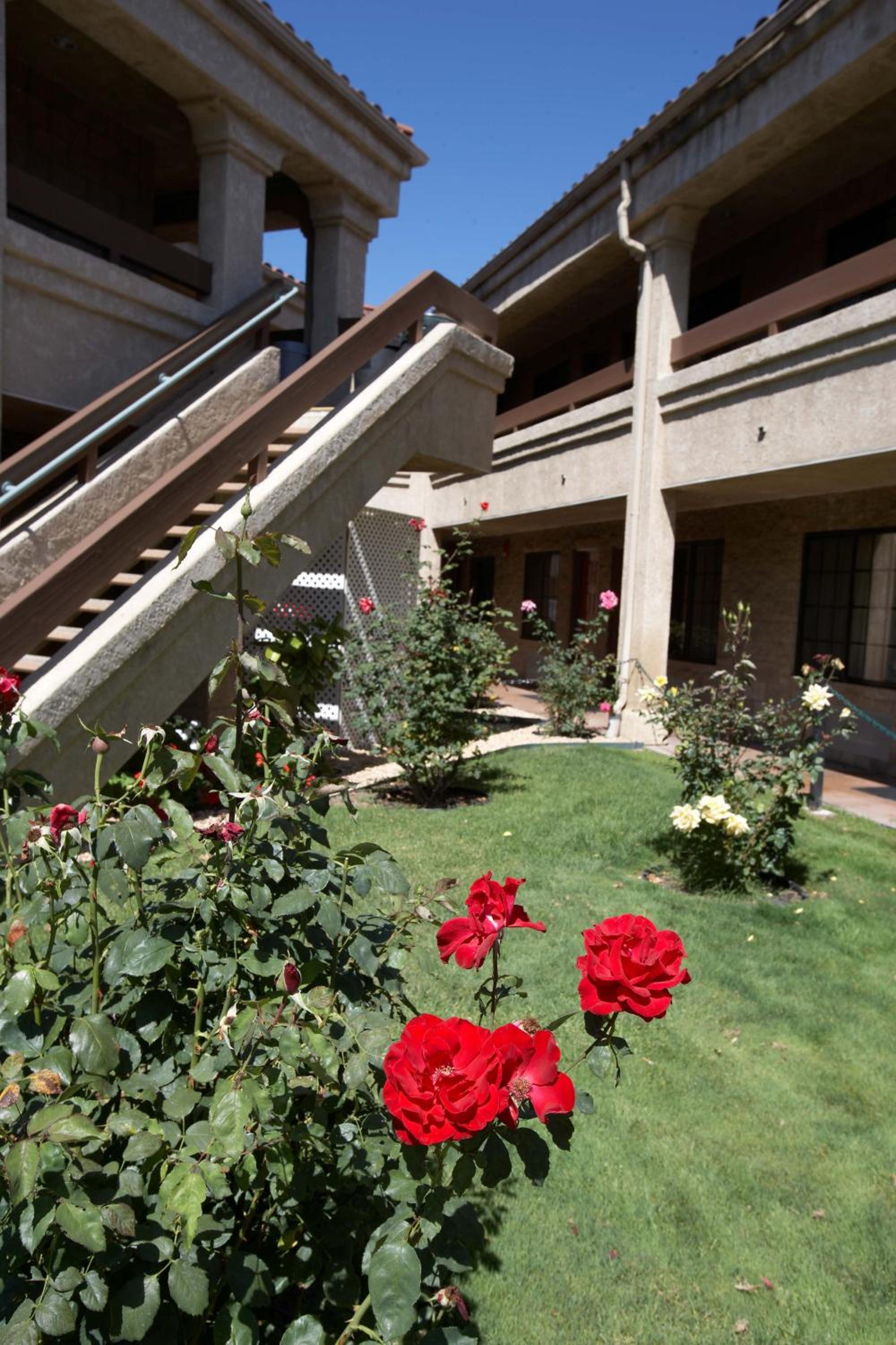 Фото Premier Inns Thousand Oaks