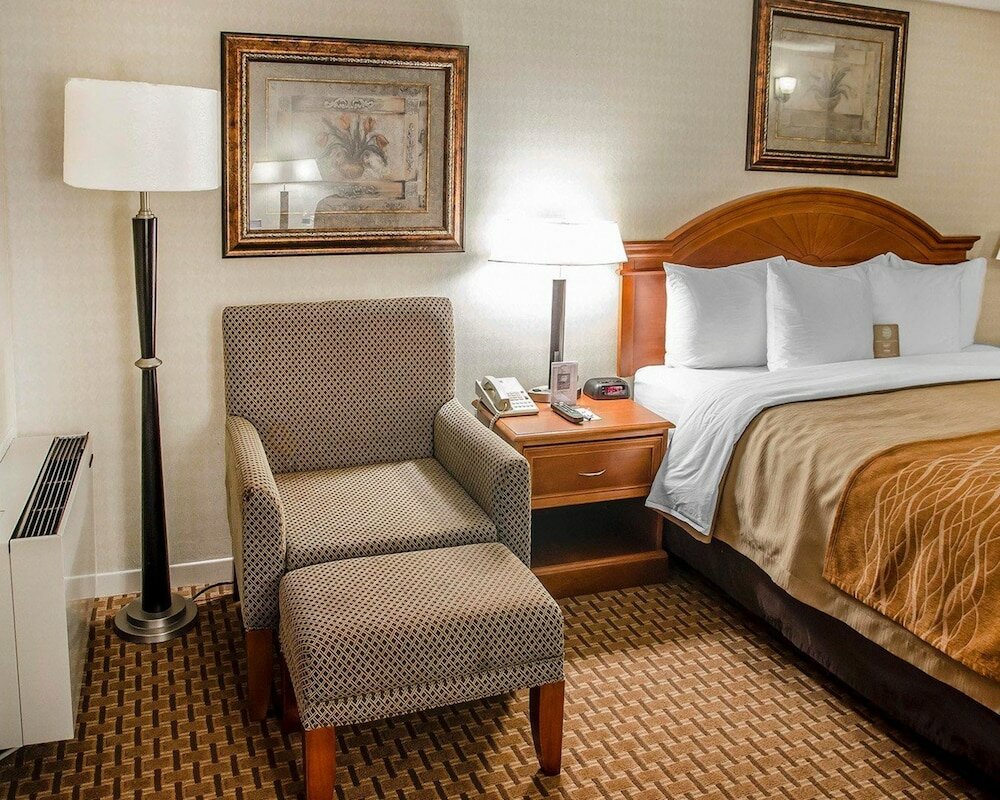 Фото Comfort Inn Toronto Northeast