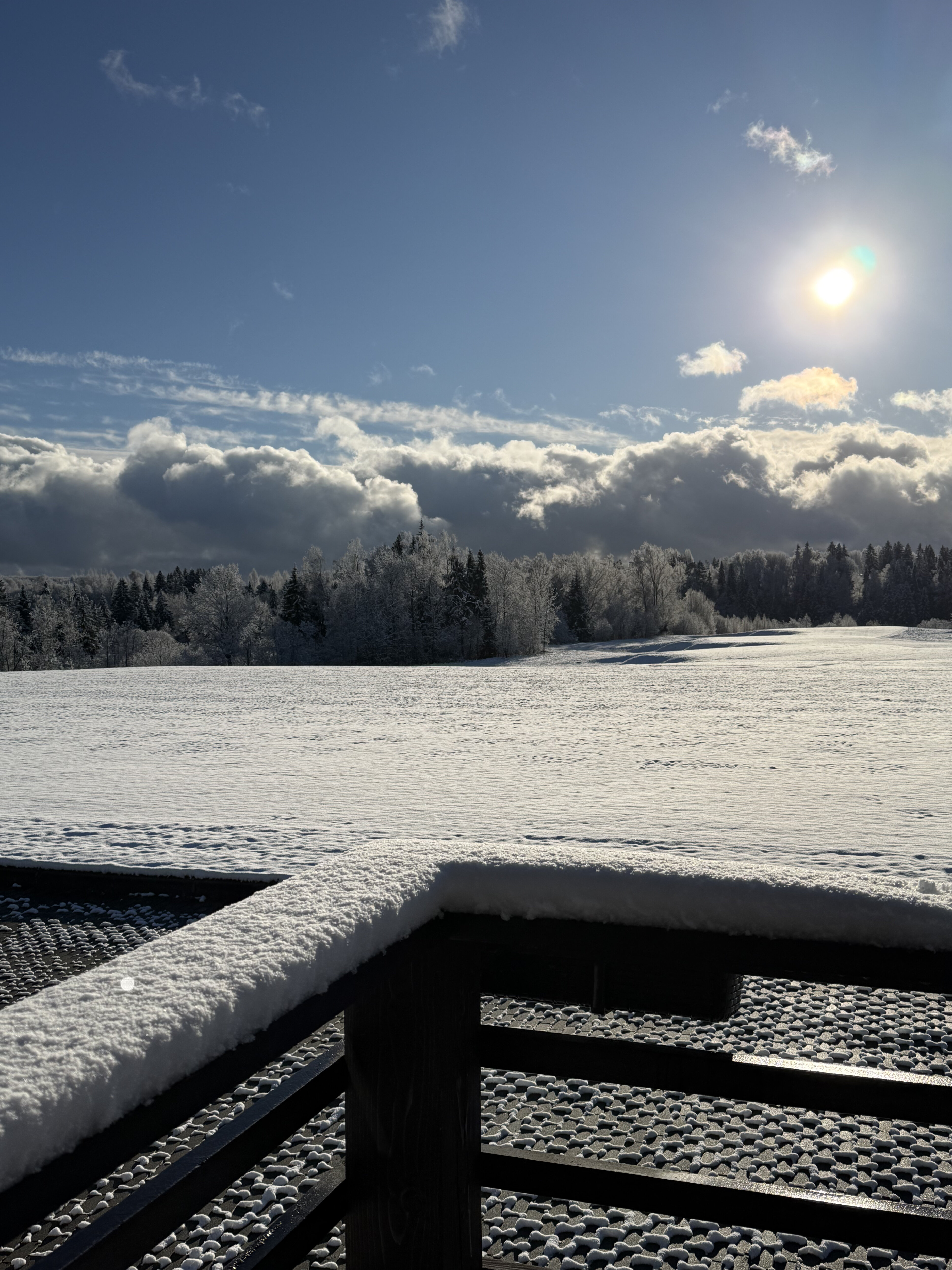 Фото Форест Хиллс