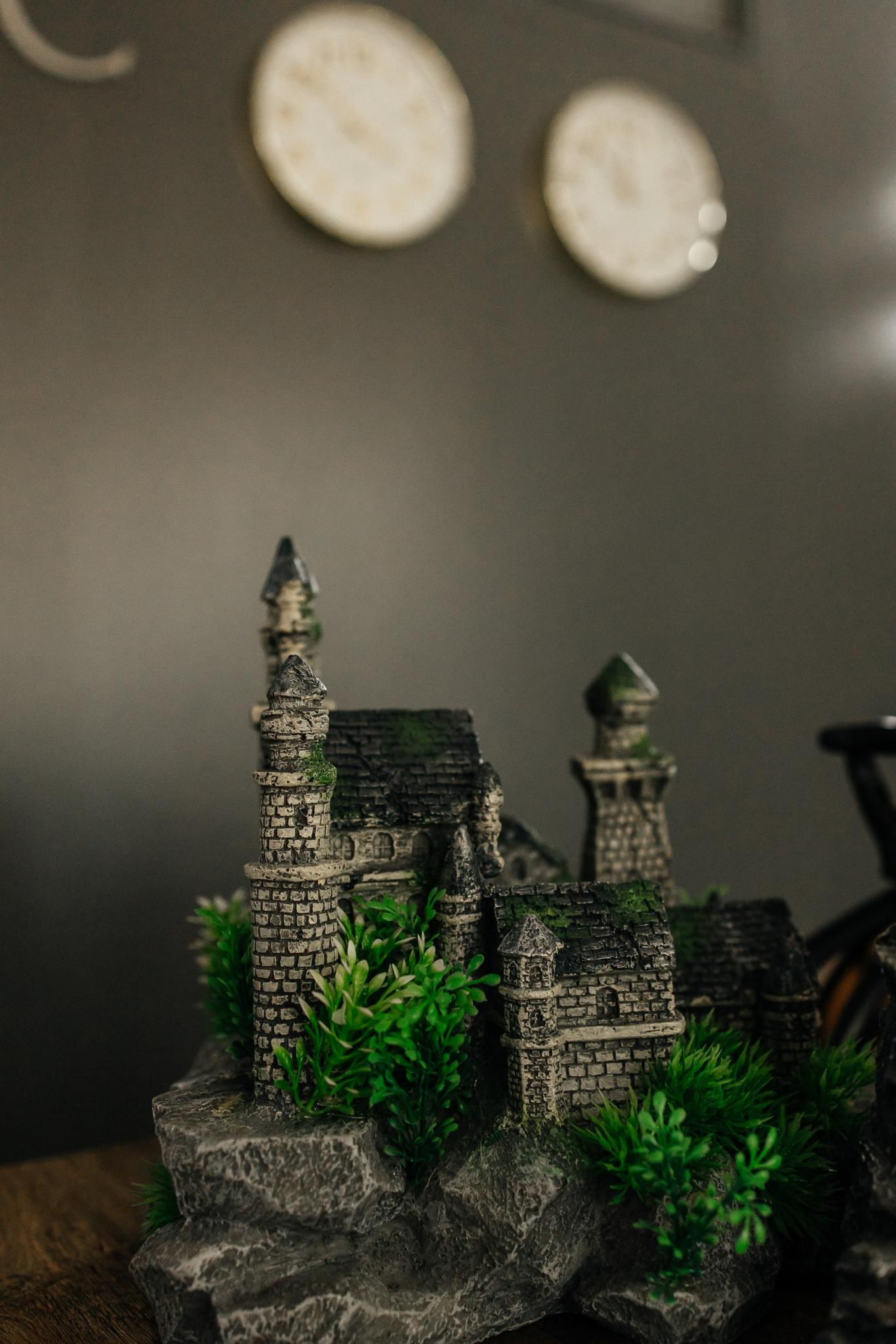 Фото Полярис