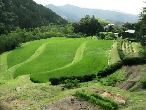 Внешний вид отеля Yagyu no Sho в Идзу, фото 2