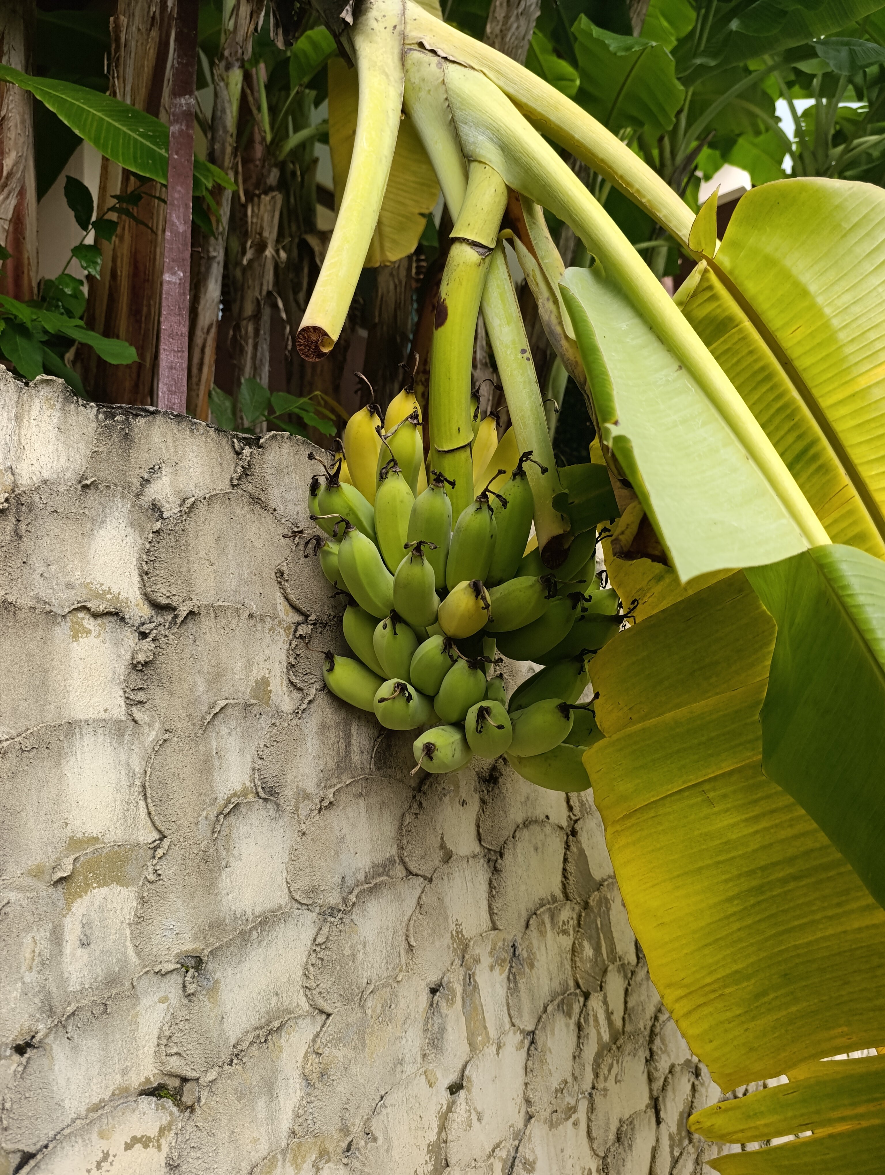 Фото Kataonsea Bungalows