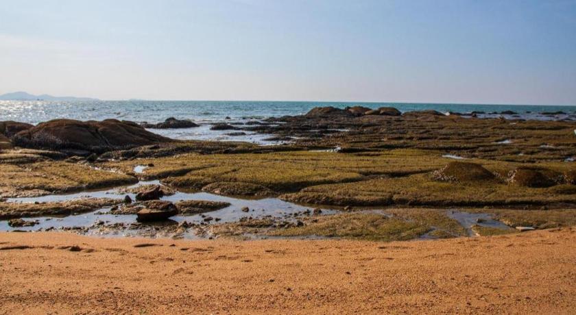 Фото The Park Hotel Pattaya