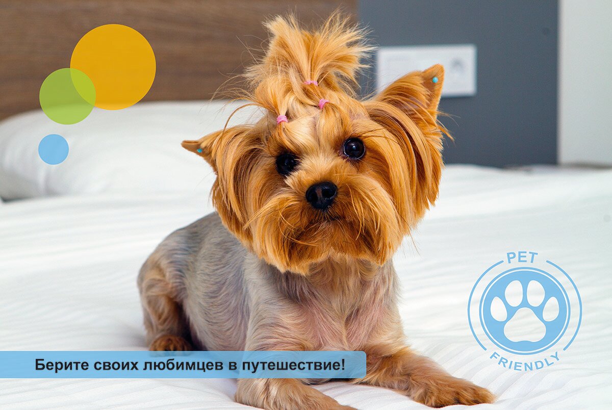 Фото Astra Montale Family