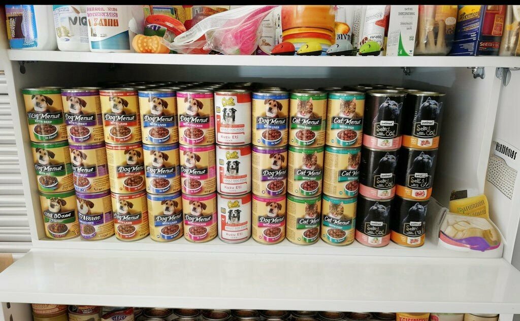 Veterinary clinic Savas Veterinary Clinic, Kula, photo