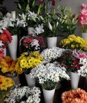 Tutku Cicekcilik (Mersin, Yenişehir, Pirireis Mah., 1115. Sok., 3A), flower shop